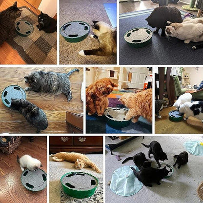 Interactive Cat Toy with Running Mouse