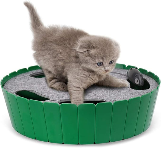Interactive Cat Toy with Running Mouse